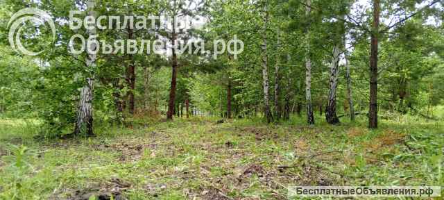 Земля на берегу озера