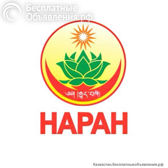 Уникальные программы лечения в клинике «Наран» теперь в Алматы