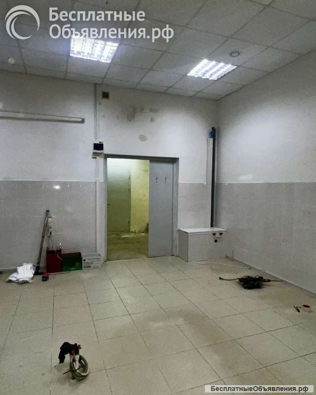 Свободного назначения 1 100 м2