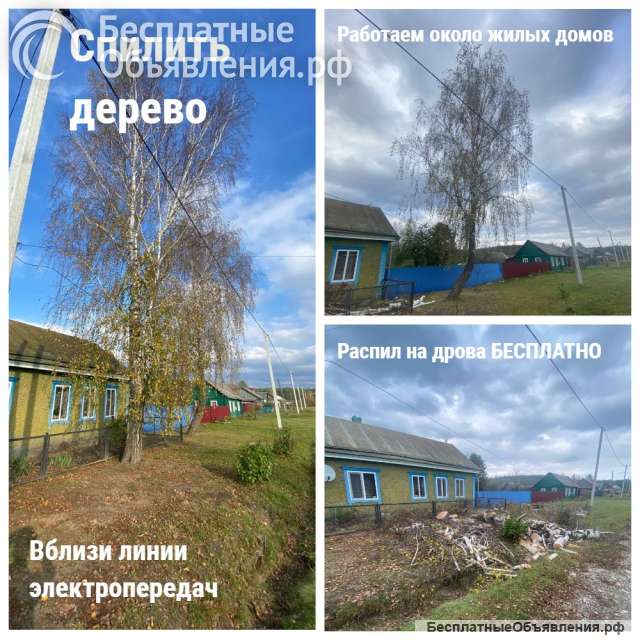 Спилить дерево, Распил, Обрезка, Корчевание