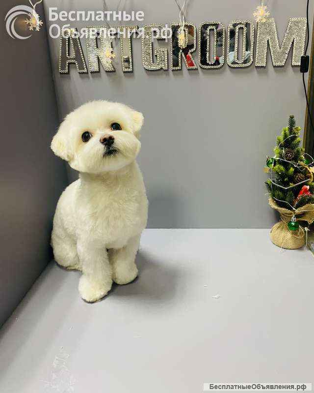 Груминг центр ArtGroom