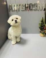 Груминг центр ArtGroom