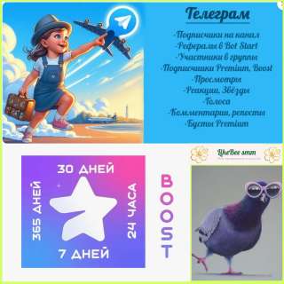 Продвижение в Соцсетях: Телеграм, ВК, Ютуб, ТикТок, Шедеврум, NUUM и др