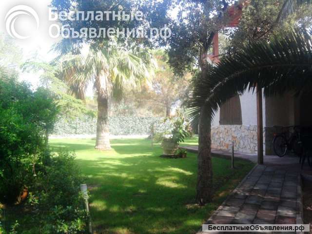 Вилла Джорджия на Сардинии сдается недорого