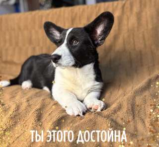 Классная клубная девочка. Февраль 2025