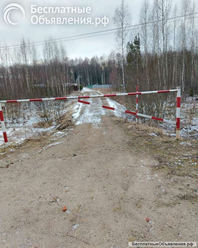 Участок по ярославке с теплицами