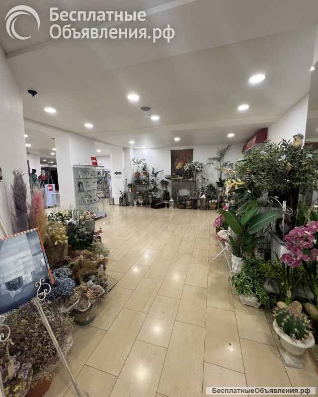 Аренда торговой площади 20 м2