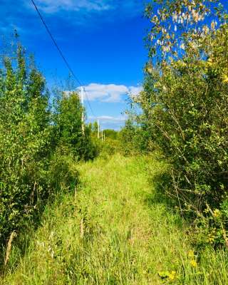 Сдаем в аренду земельный участок 6 гектар под трассу для квадроциклов, и мотоциклов