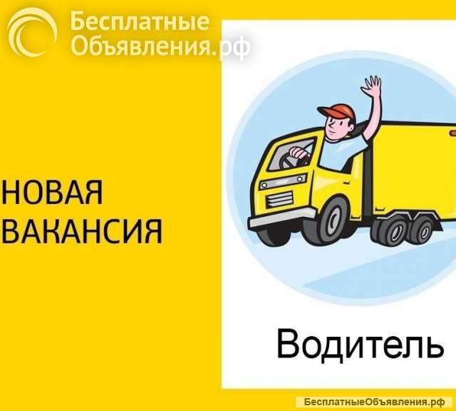 Водитель со своим грузовым авто