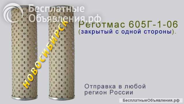 Реготмас 605Г-1-06 фильтрующий элемент
