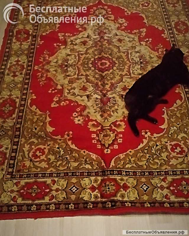 Ковры