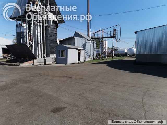 Маслозавод действующий Краснодар