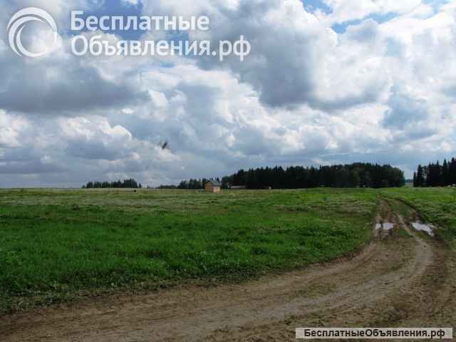 Земельный участок 45 Га (готовое фермерское хозяйство) в Шаховском