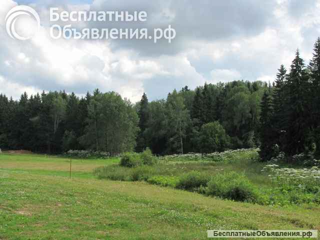 Земельный участок 45 Га (готовое фермерское хозяйство) в Шаховском