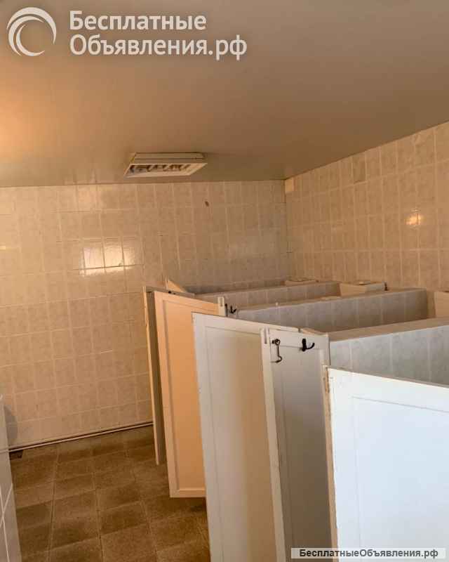 Аренда на сеззон- ДДушевая +Туалет