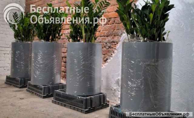 Кашпо для цветов