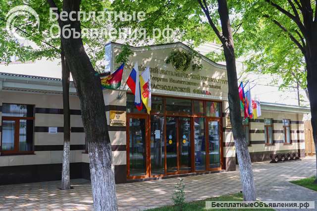 Коррекционно-развивающее обучение и воспитание обучающихся с нарушениями речи (Логопед)