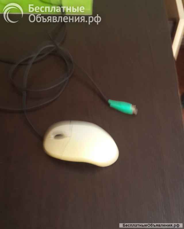 Клавиатура и мышь к компьютеру