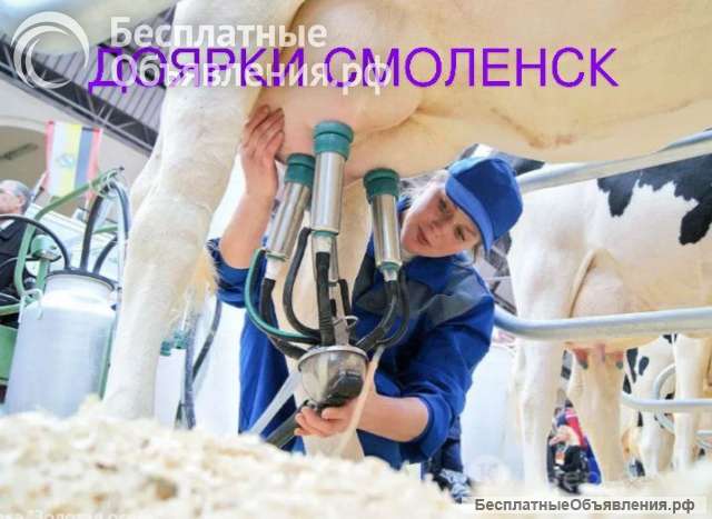 Требуются доярки с опытом на ферму