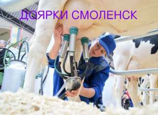 Требуются доярки с опытом на ферму