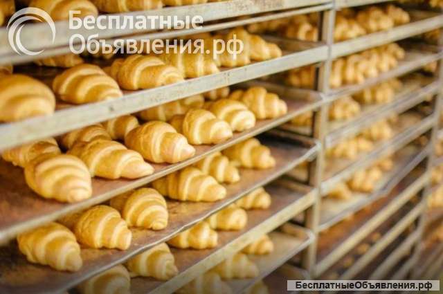 Грузчики/ компклектовщики/ котломойщики