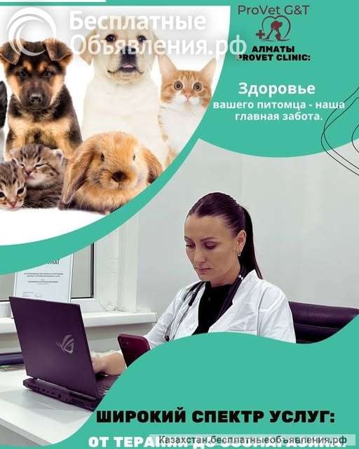 ProVet Clinic в Алматы: Все для здоровья вашего питомца
