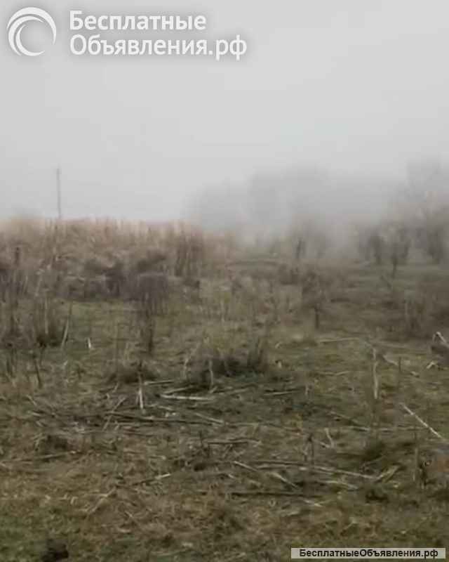 200 сот. ЗНП, п. Пятигорский, пер. Школьный 4, Предгорного р-н, Ставропольский край