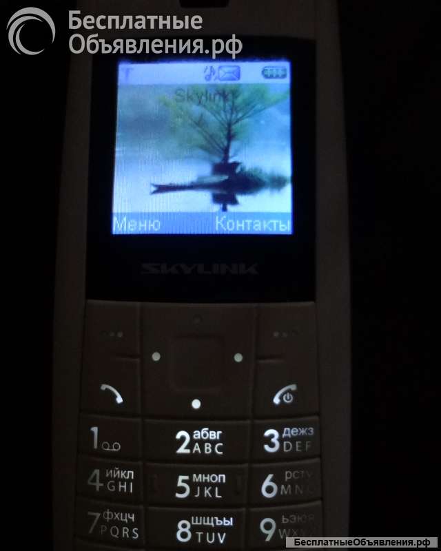 IPhone 5S, Skylink Simple