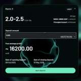 1. Партнеру- инвестору предоставляется РЕАЛЬНЫЙ шанс стать ФИНАНСОВОНЕЗАВИСИМЫМ