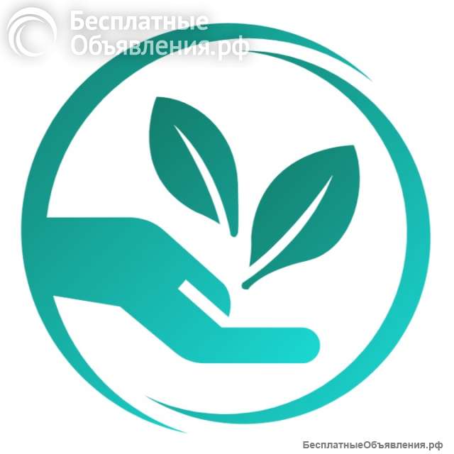 FitoStor - фитодизайн
