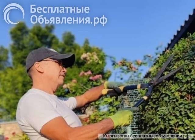 "Садовник на час" Обрезка, обслуживание сада