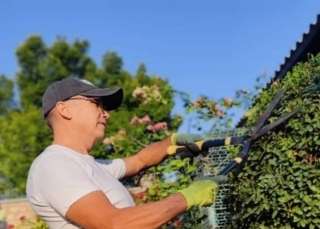 "Садовник на час" Обрезка, обслуживание сада