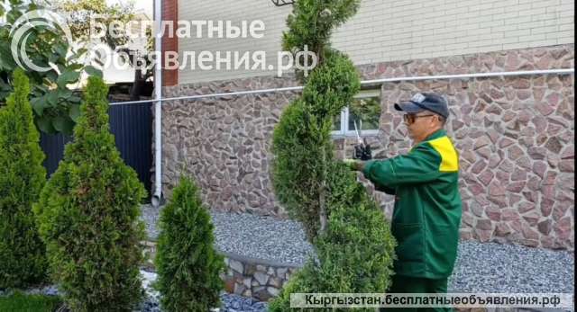 "Садовник на час" Обрезка, обслуживание сада