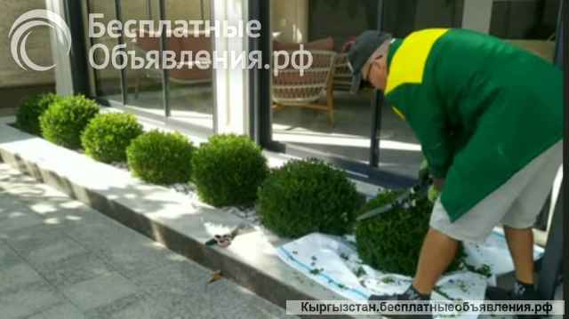 "Садовник на час" Обрезка, обслуживание сада