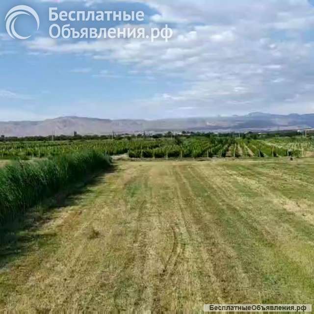 Земельные участки