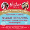 Продавец-консультант в Hamleys