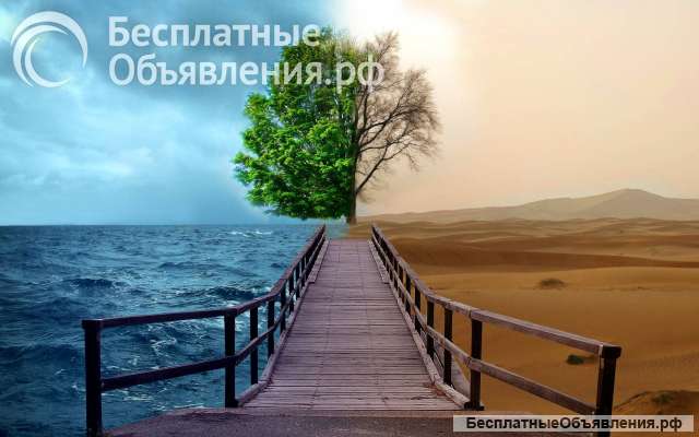 Магические услуги