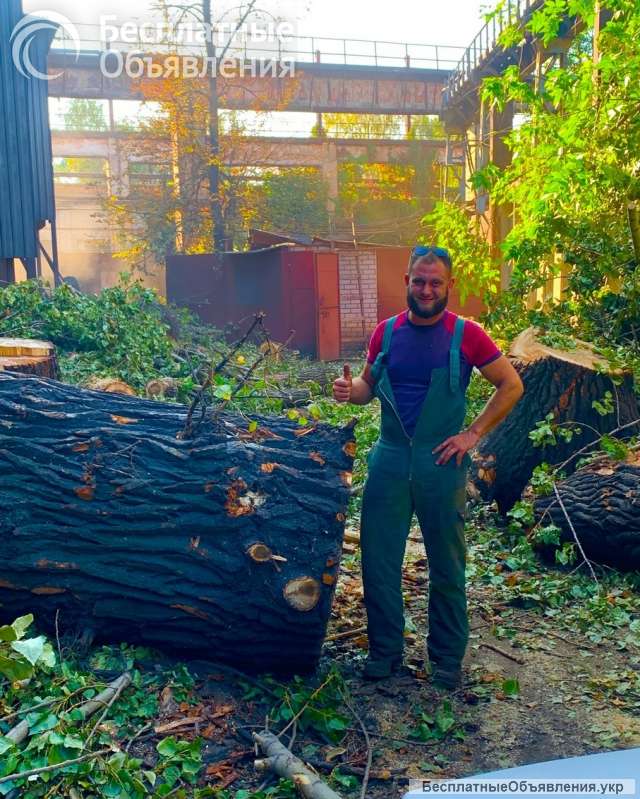 Спил и обрезка деревьев ЛНР 2025