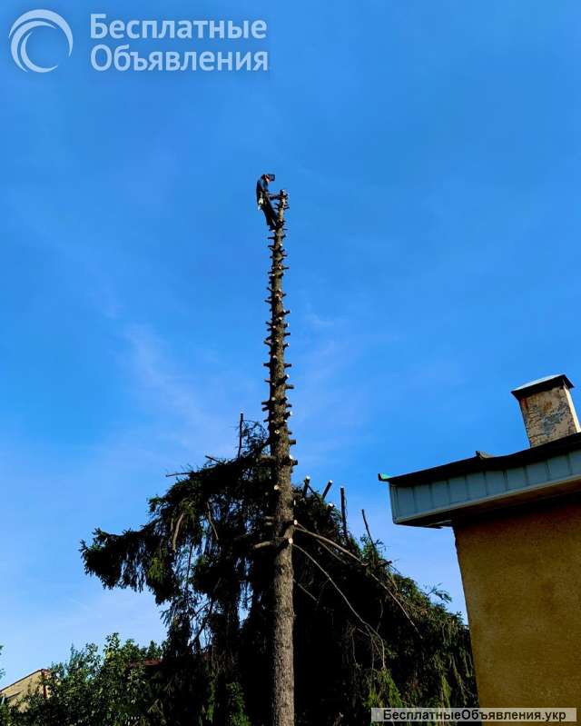 Спил и обрезка деревьев ЛНР 2025