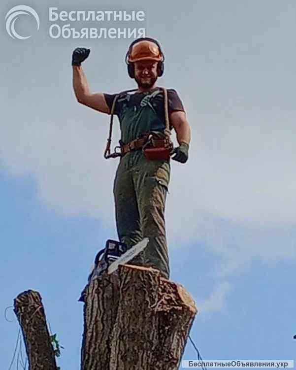 Спил и обрезка деревьев ЛНР 2025