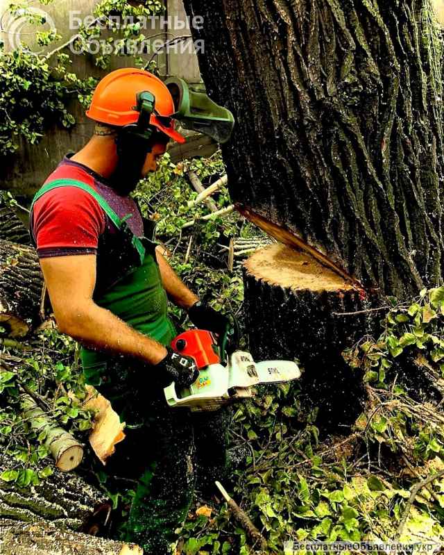 Спил и обрезка деревьев ЛНР 2025
