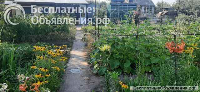 Дачный участок и садовый домик