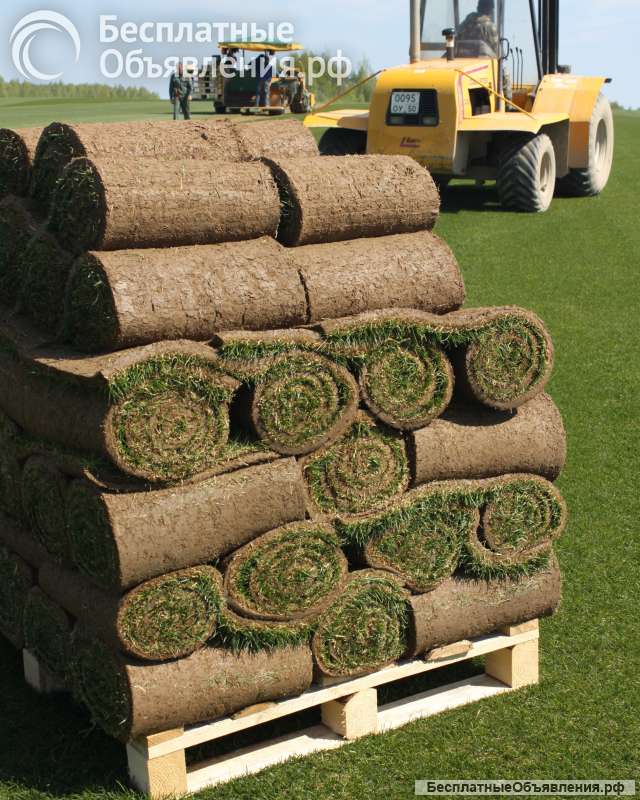 Рулонный газон