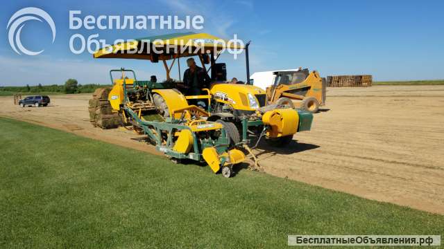 Рулонный газон