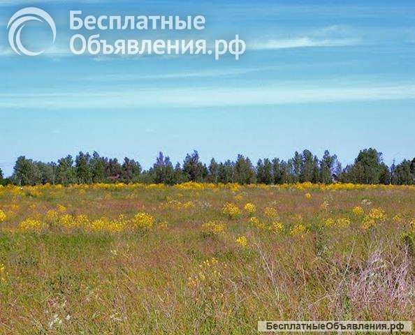 Участок 166с сельхоз/ назначения
