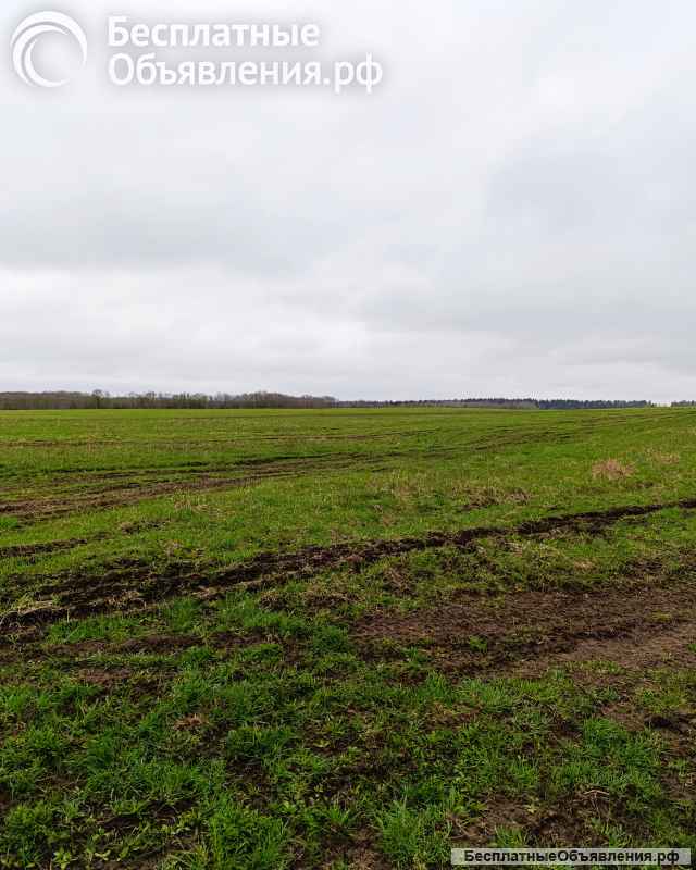 Участок 166с сельхоз/ назначения