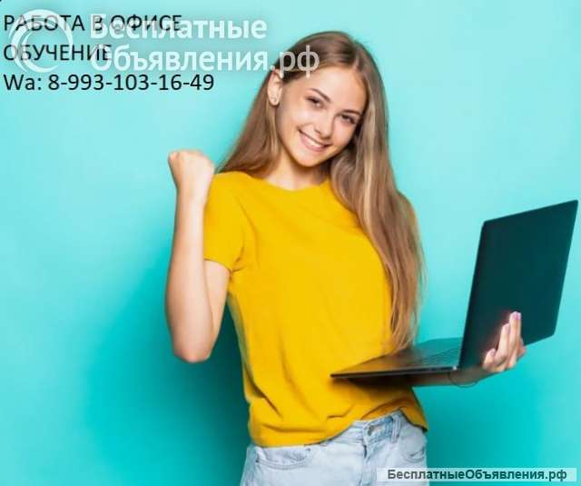 Помощник руководителя