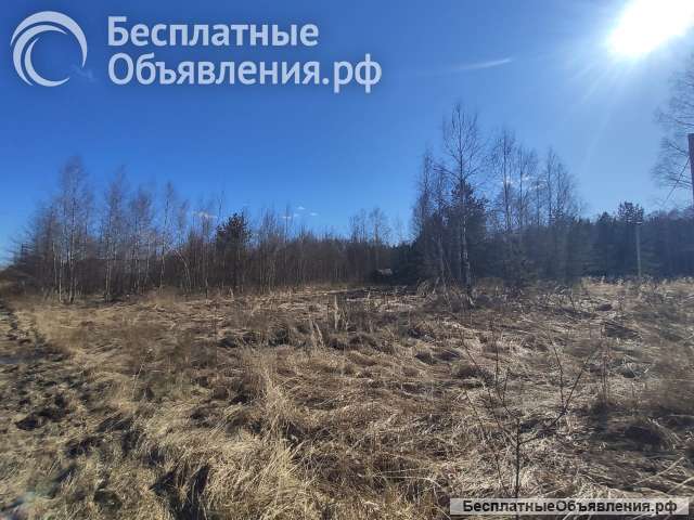 Земельный участок ИЖС в поселке Черусти г. Шатура Московская область