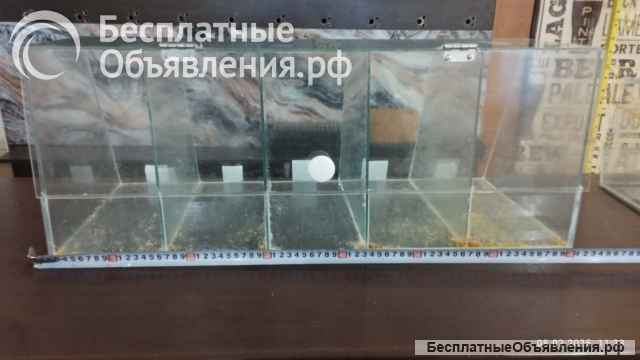 Стеклянные кубы для снеков