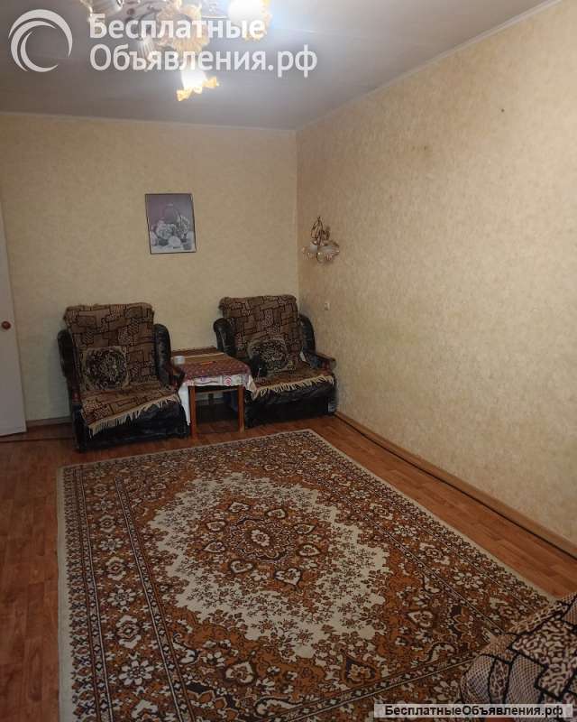 Однушка на Самодеятельной